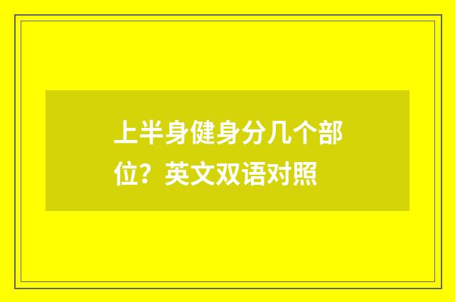 上半身健身分几个部位?英文双语对照