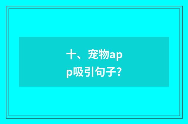 十、宠物app吸引句子？