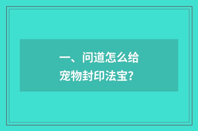 一、问道怎么给宠物封印法宝？