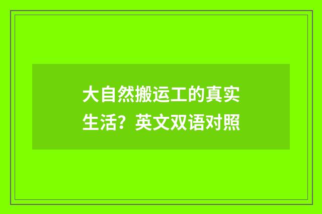 大自然搬运工的真实生活？英文双语对照