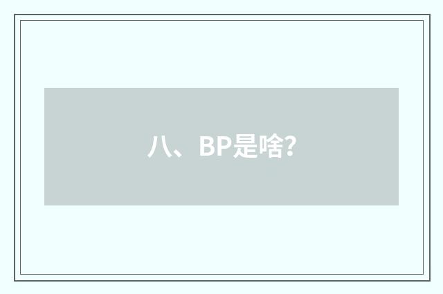 八、BP是啥?