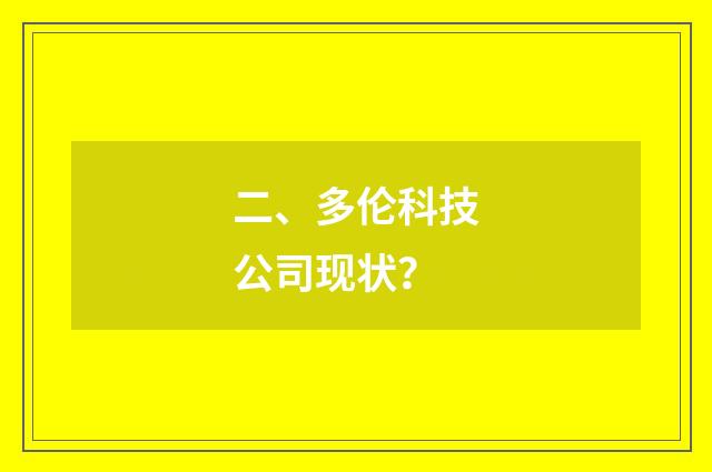 二、多伦科技公司现状?