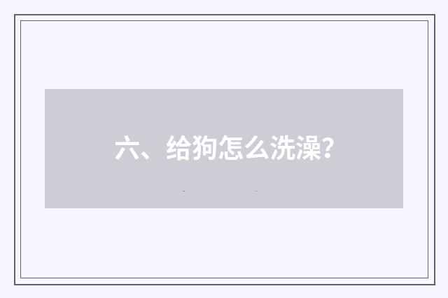六、给狗怎么洗澡？