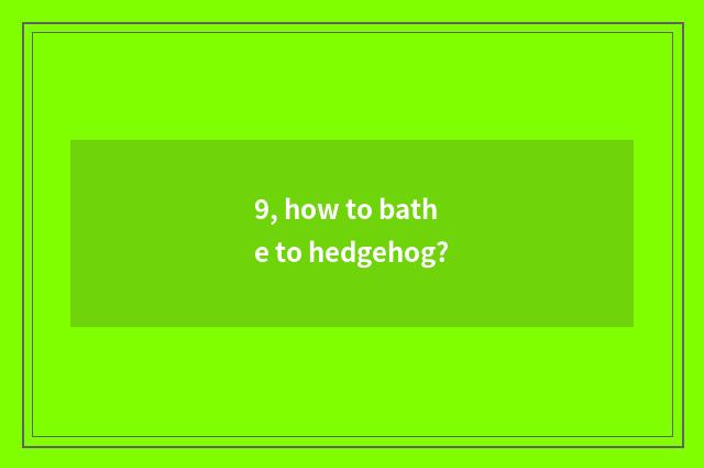 9, how to bathe to hedgehog?