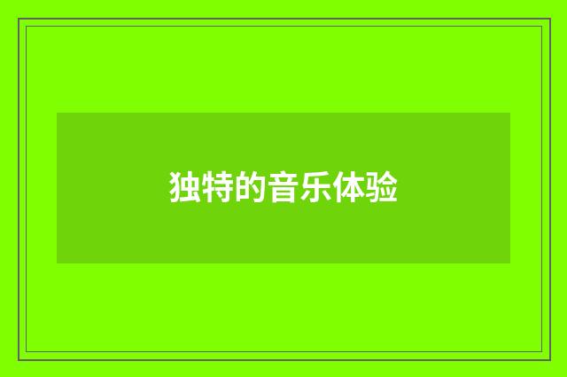 独特的音乐体验