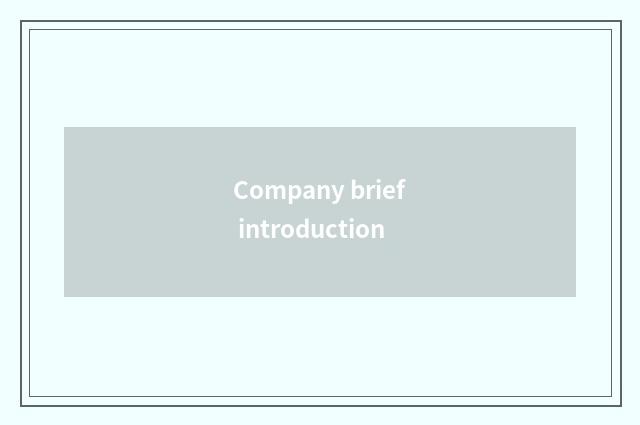 Company brief introduction