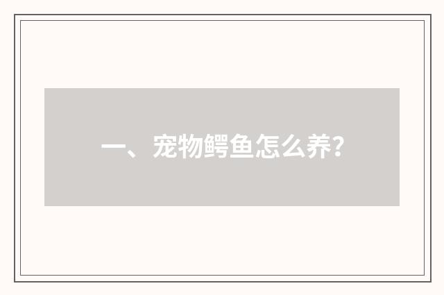 一、宠物鳄鱼怎么养？