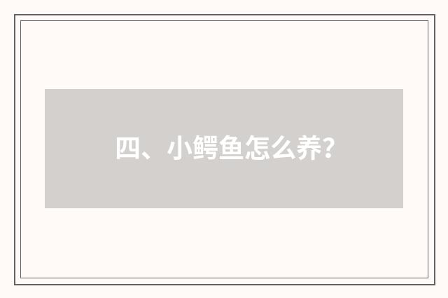 四、小鳄鱼怎么养?