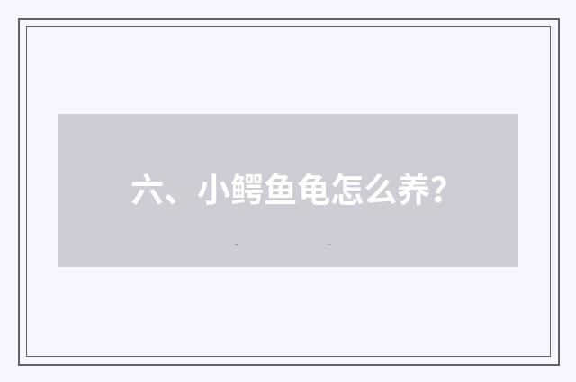 六、小鳄鱼龟怎么养?