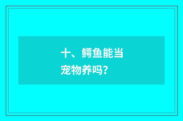 十、鳄鱼能当宠物养吗?