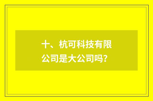 十、杭可科技有限公司是大公司吗?