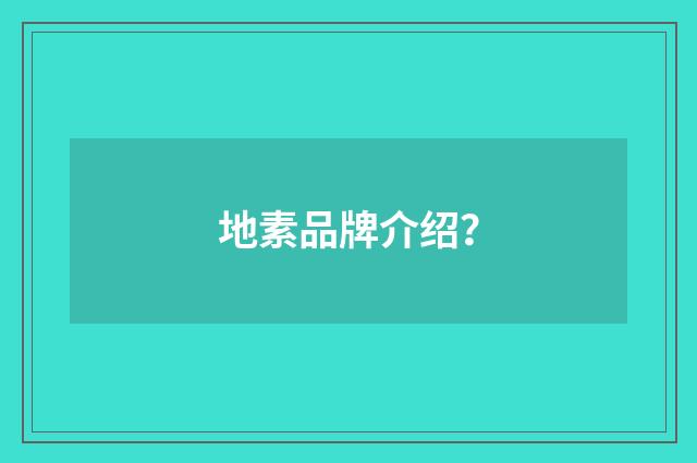 地素品牌介绍？