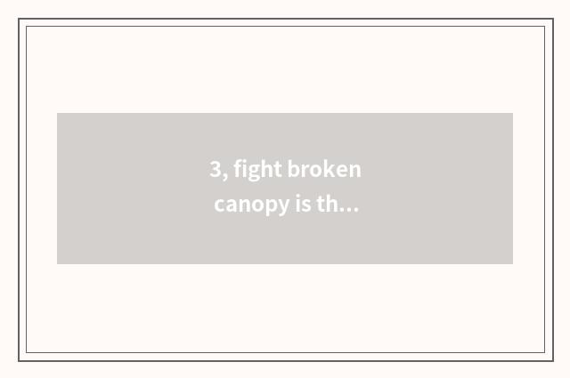 3, fight broken canopy is this what game game?