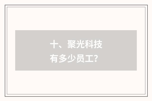 十、聚光科技有多少员工？