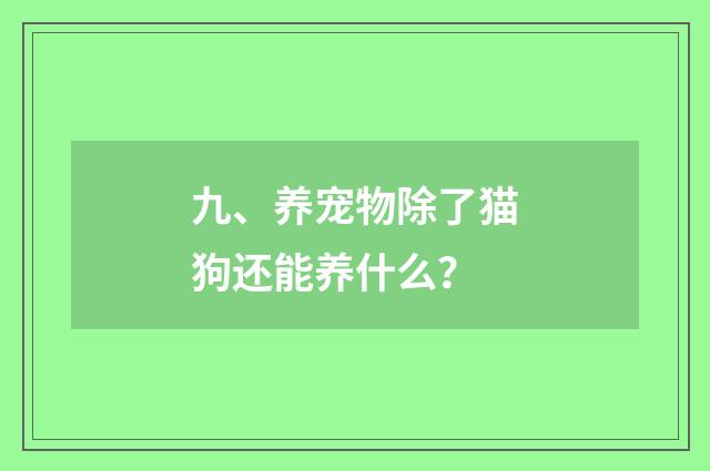 九、养宠物除了猫狗还能养什么?