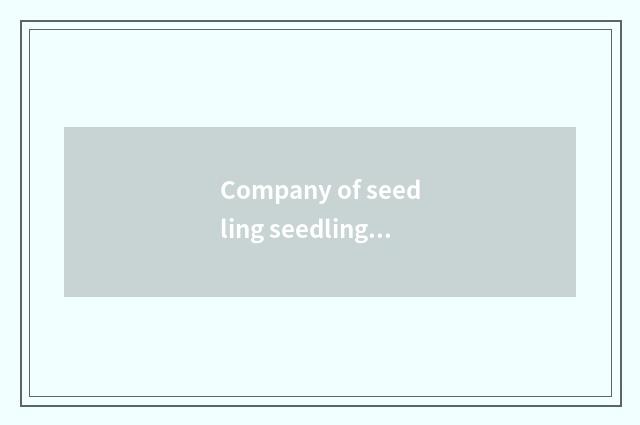 Company of seedling seedling broker?