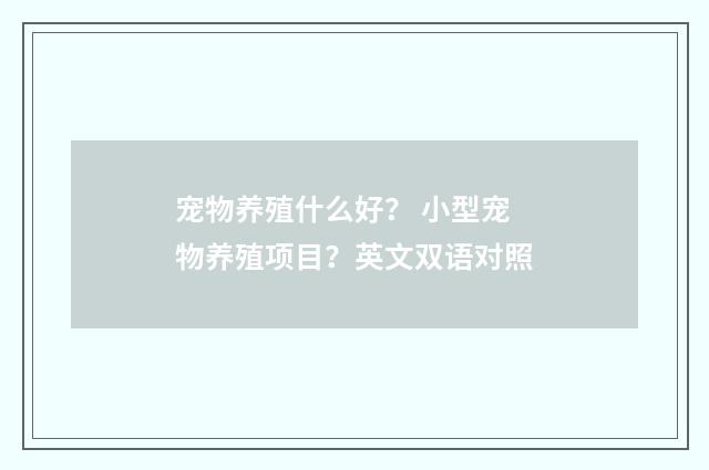 宠物养殖什么好？ 小型宠物养殖项目？英文双语对照