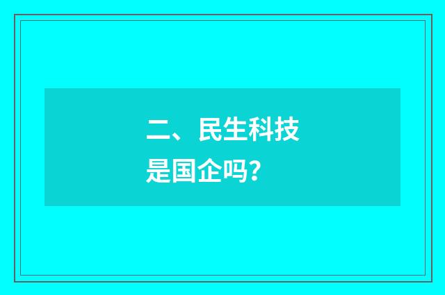 二、民生科技是国企吗?