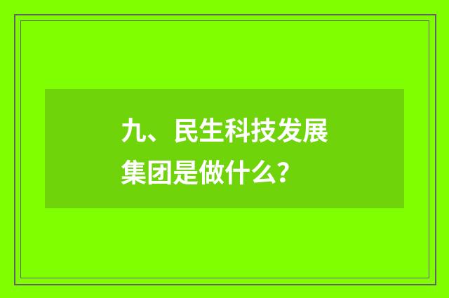 九、民生科技发展集团是做什么?
