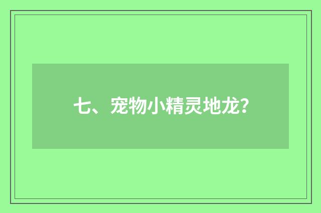 七、宠物小精灵地龙？