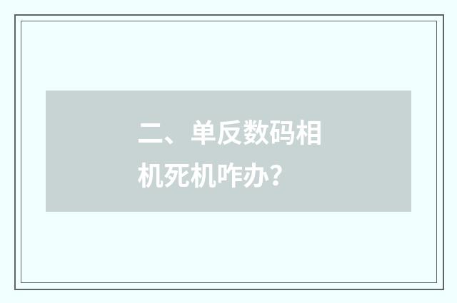 二、单反数码相机死机咋办?