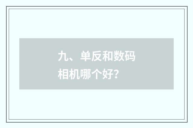 九、单反和数码相机哪个好？
