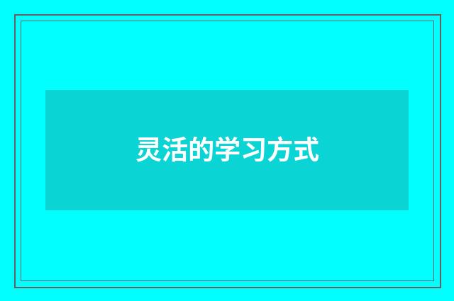 灵活的学习方式