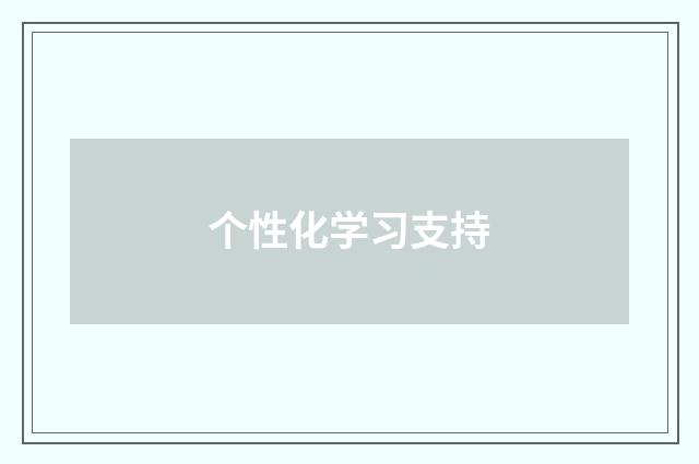 个性化学习支持