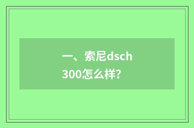 一、索尼dsch300怎么样?