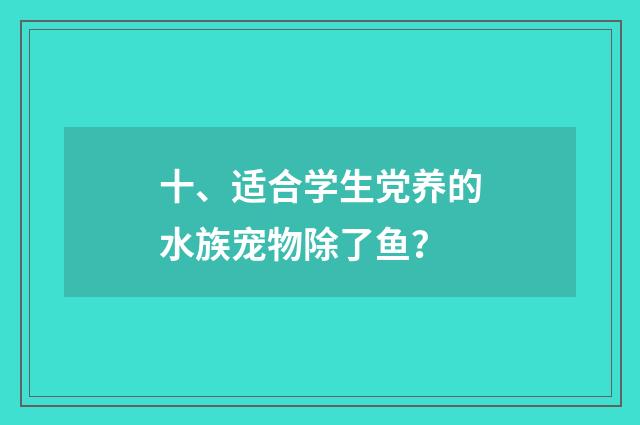 十、适合学生党养的水族宠物除了鱼?