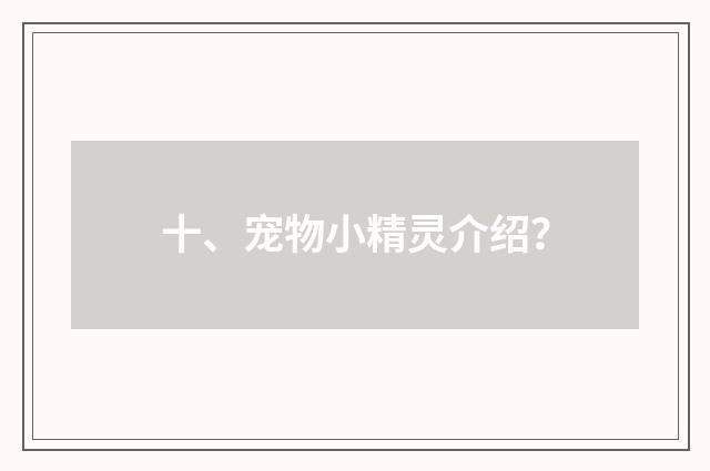十、宠物小精灵介绍？
