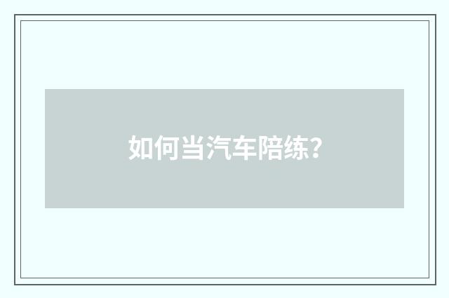 如何当汽车陪练？