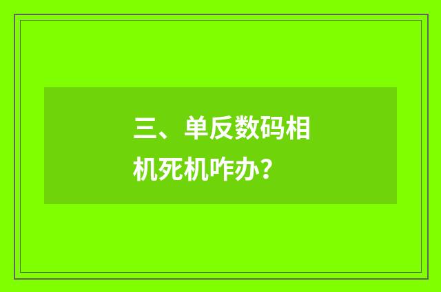 三、单反数码相机死机咋办？