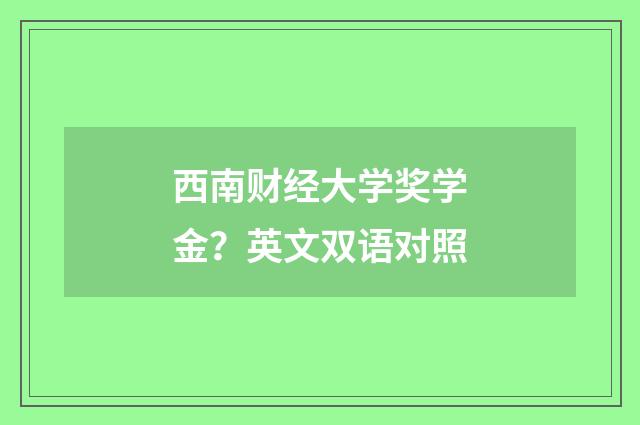 西南财经大学奖学金？英文双语对照