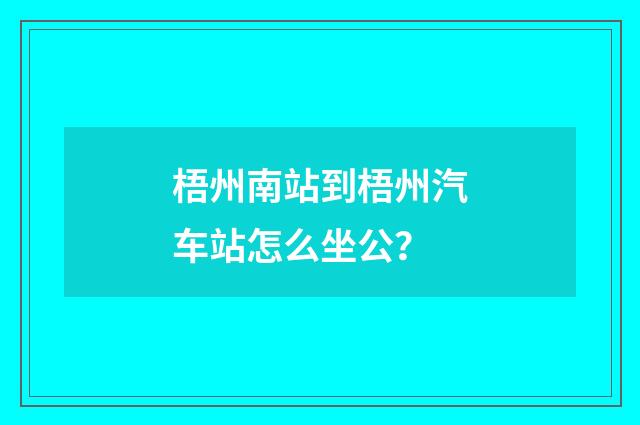 梧州南站到梧州汽车站怎么坐公?