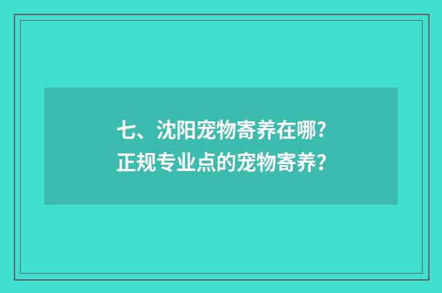 七、沈阳宠物寄养在哪?正规专业点的宠物寄养？