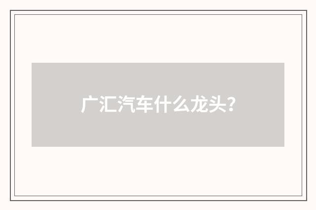 广汇汽车什么龙头？