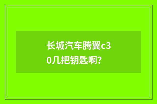 长城汽车腾翼c30几把钥匙啊?
