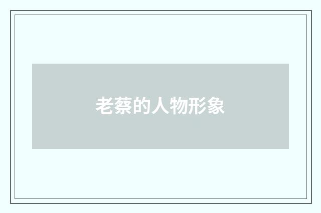 老蔡的人物形象