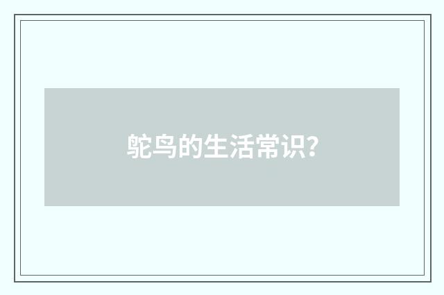 鸵鸟的生活常识？