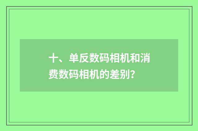 十、单反数码相机和消费数码相机的差别？