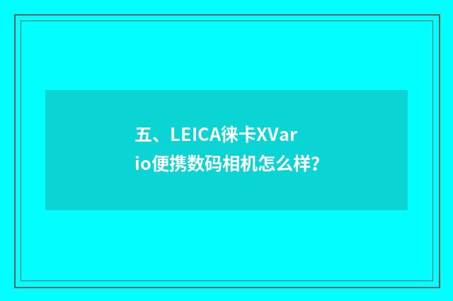 五、LEICA徕卡XVario便携数码相机怎么样?