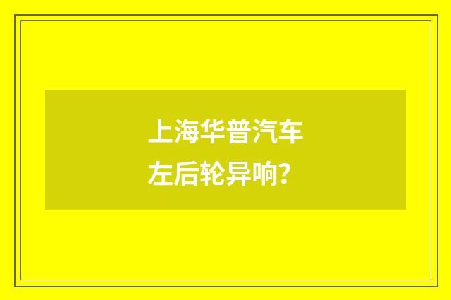 上海华普汽车左后轮异响？
