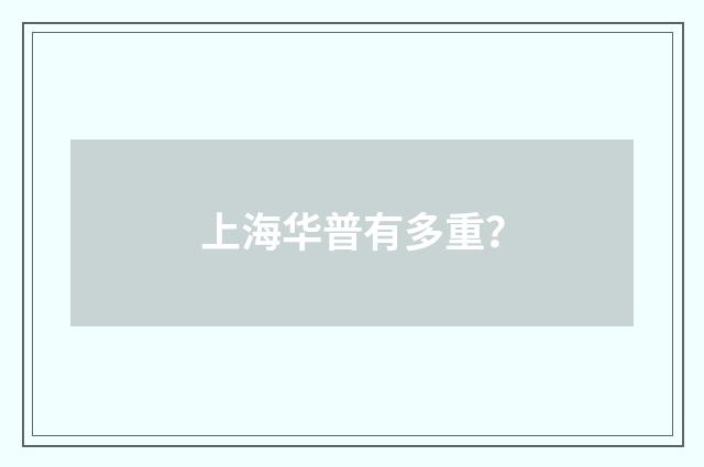 上海华普有多重?