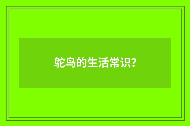 鸵鸟的生活常识？