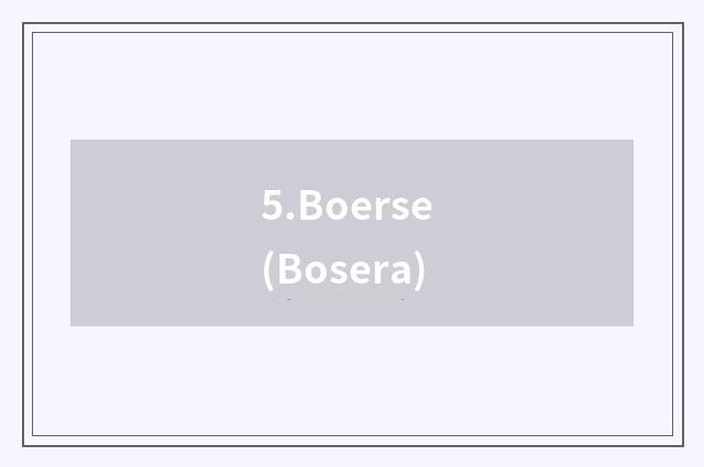 5.Boerse (Bosera)