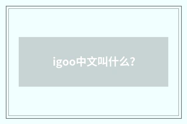 igoo中文叫什么？