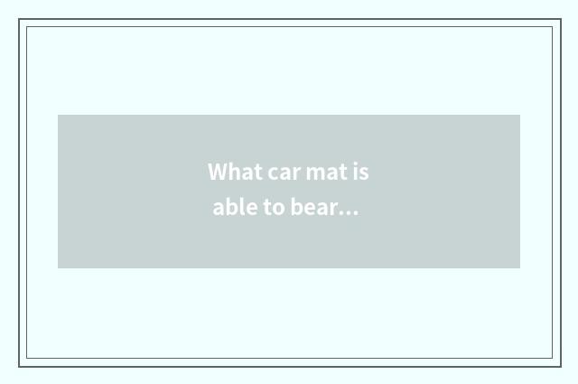 What car mat is able to bear or endure dirty wear-resisting?