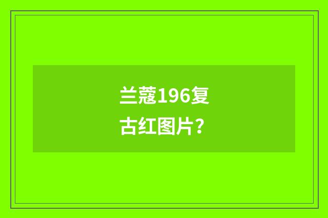 兰蔻196复古红图片?