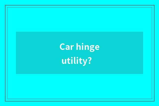 Car hinge utility?